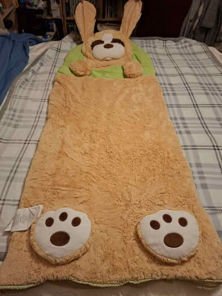 Photo of free Child's novelty sleeping bag (Sopwell AL1) #2