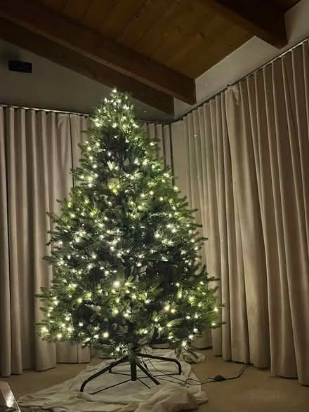 Photo of free Christmas Tree (Encinitas….. near downtown.) #2