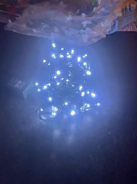 Photo of free Christmas lights (Carlton NG4) #1