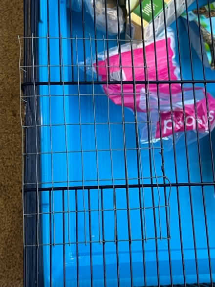 Photo of free Hamster cage and accessories (New Malden KT3) #3