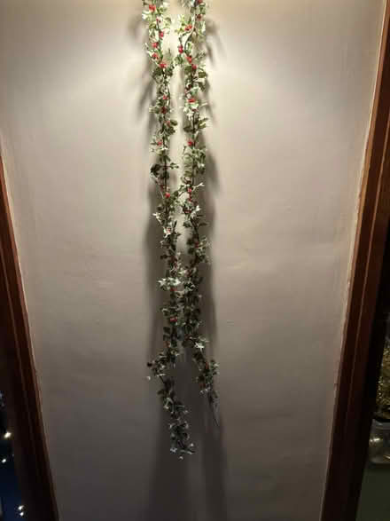 Photo of free Indoor Xmas Dec (Bracknell RG12) #1