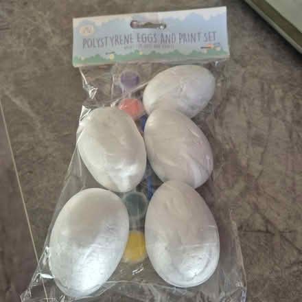 Photo of free Polystyrene eggs and paint set (Leigh Park PO9) #1