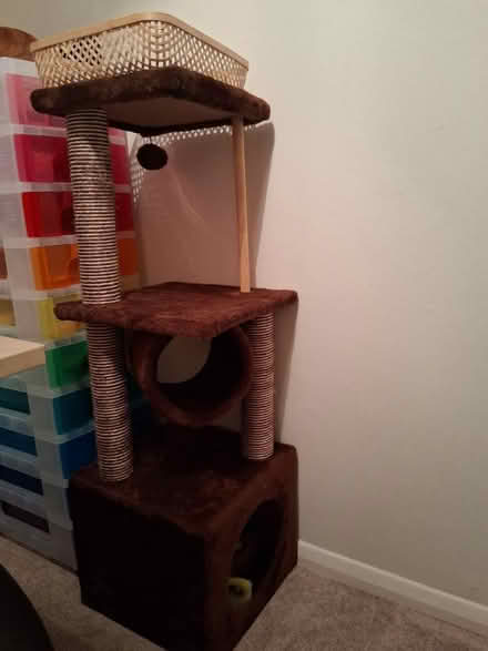 Photo of free Cat scratcher/tower (Titchfield Common PO14) #1