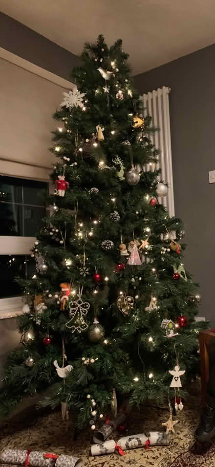 Photo of free Christmas tree (minus the decorations) (Maiden Erlegh Nature Reserve RG6) #1