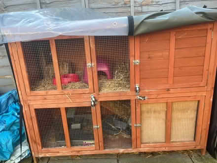 Photo of free Outdoor animal cage (N3) #2