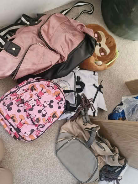 Photo of free Bag bundle (Hanworth RG12) #1