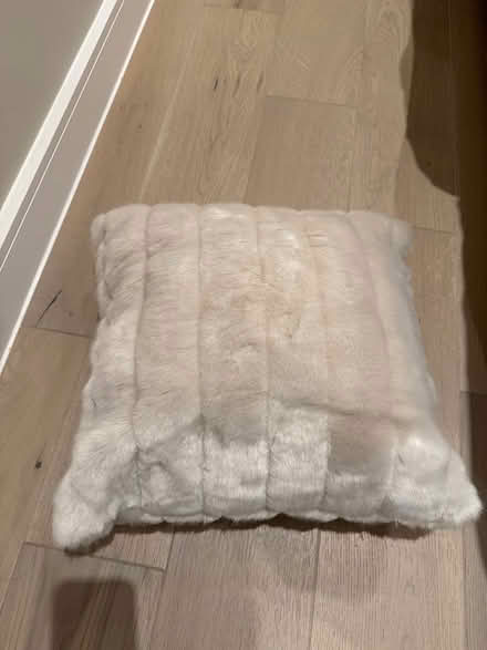 Photo of free Pillows (St Johns Wood NW8) #1