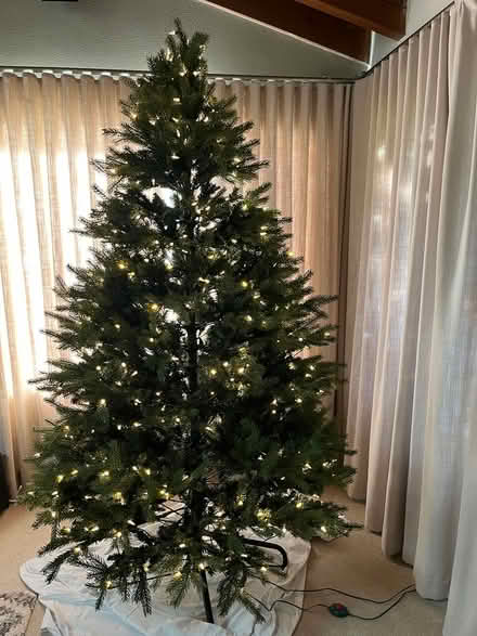 Photo of free Christmas Tree (Encinitas….. near downtown.) #3