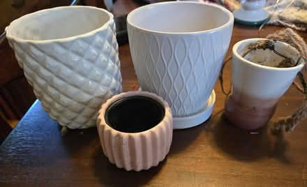 Photo of free Small pots for plants (Ballard) #1