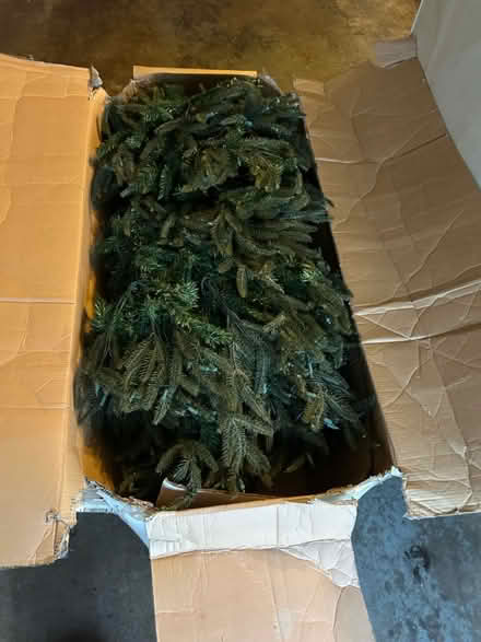 Photo of free Artificial Xmas Tree (Chestnut Hill) #1