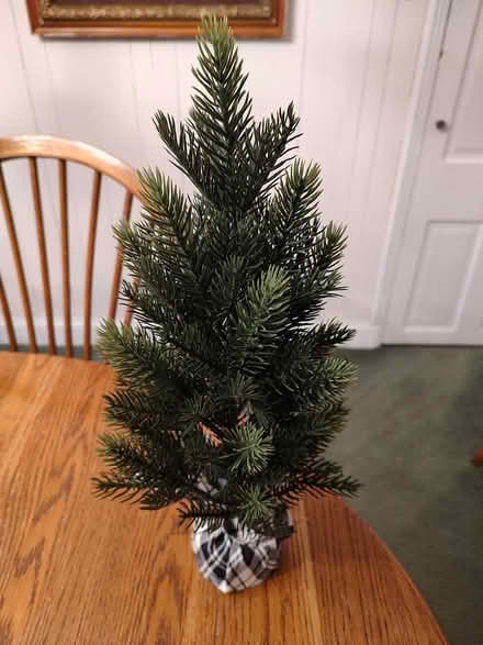 Photo of free 14" tree ~ Artificial (Odenton) #1