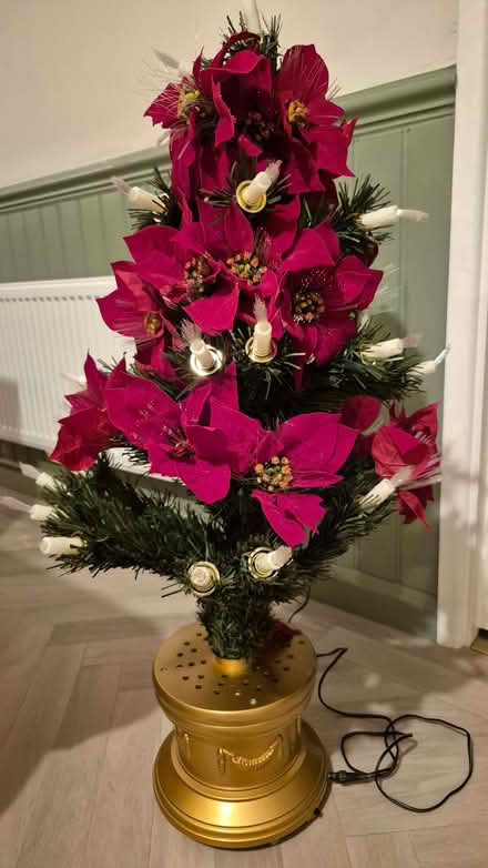 Photo of free Fibre optic poinsetta christmas tree (Portishead BS20) #1