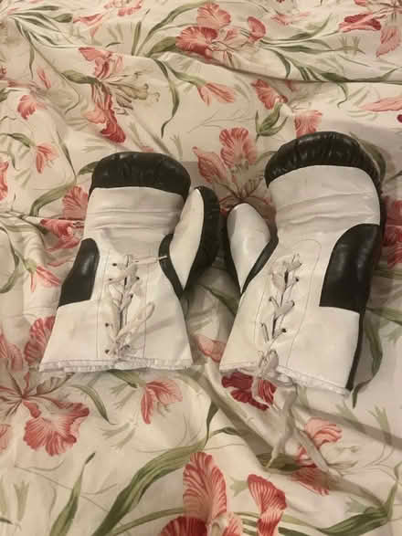 Photo of free boxing gloves (Campbell/Winchester) #1