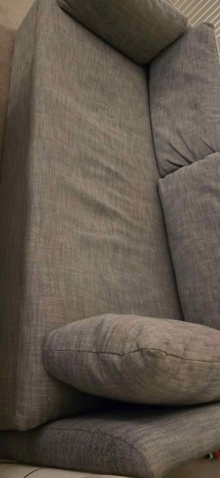 Photo of free Sofa (ME160WD) #1