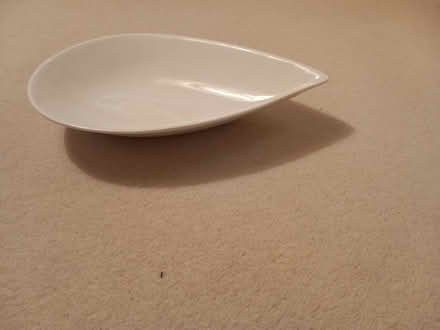 Photo of free Seving dishes (Crewe, CW2 8UP) #2