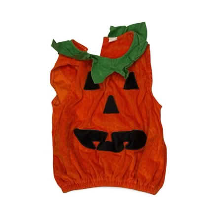 Photo of free Pumpkin Costume (Brooklyn Storage) #1
