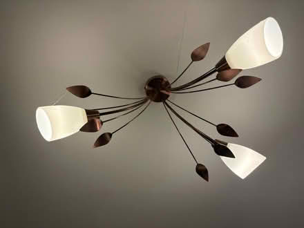 Photo of free Ceiling light (Sydenham) #1