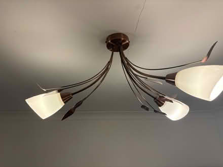 Photo of free Ceiling light (Sydenham) #2