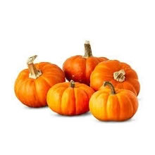 Photo of free 5 uncarved pumpkins (Belmont, MA) #1