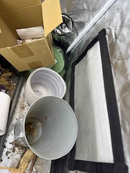 Photo of free 4 small pots (South end) #1