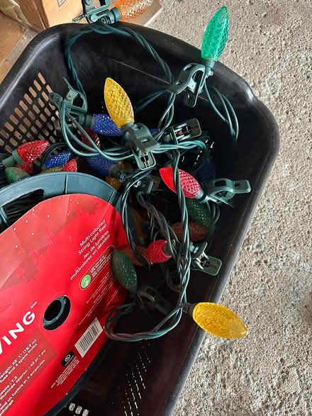 Photo of free LED Christmas Lights (Erin Mills) #3