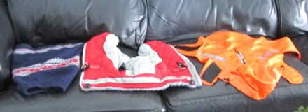 Photo of free Small dog coats (Lawrence west side) #1