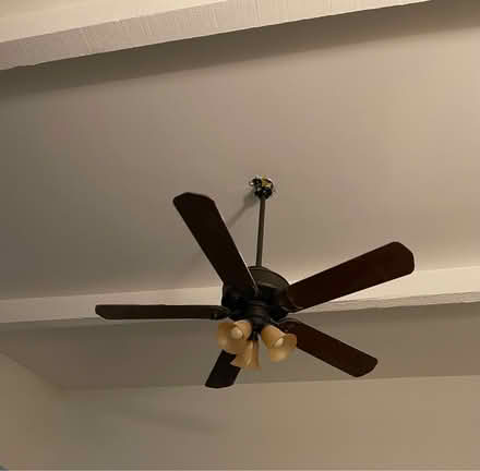 Photo of free Casablanca fan (Ahwatukee) #1