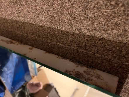 Photo of free Bathroom mirror with shaver plug (Spottiswoode EH9) #4