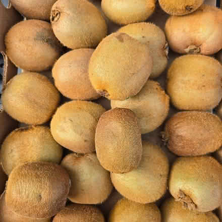 Photo of free Kiwi Fruits (Chiquita Av MtnVw) #1