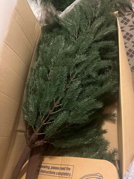 Photo of free Christmas tree (Stanway, CO3) #1