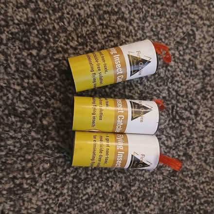 Photo of free Sticky fly tape (Spixworth NR10) #1