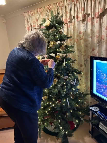 Photo of free Christmas tree (Gloucestershire) #1