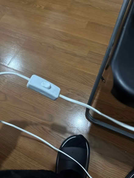 Photo of free Lamp shade (N4 1HG) #3