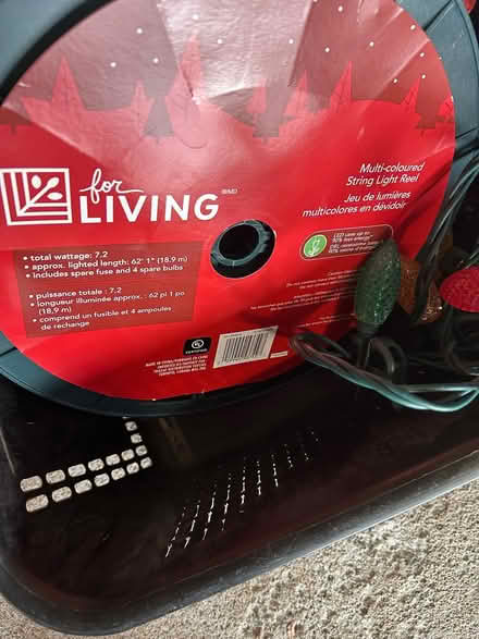 Photo of free LED Christmas Lights (Erin Mills) #4