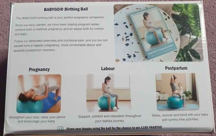 Photo of free Babygo birthing ball (Great Linford MK14) #2