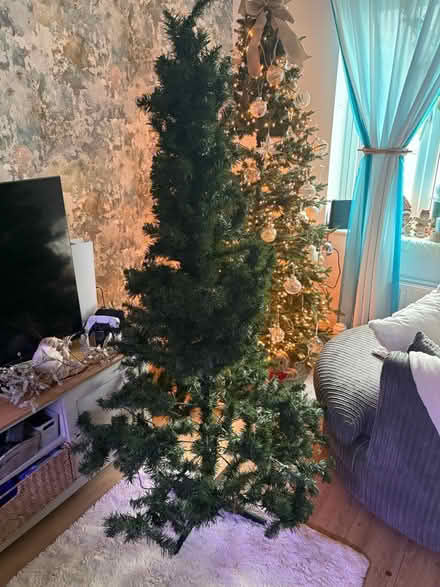 Photo of free Christmas Tree (BD22) #1