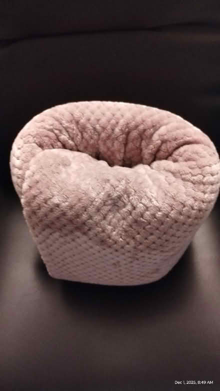 Photo of free Warm Blanket (Ward 1, Park View, NW, DC) #2