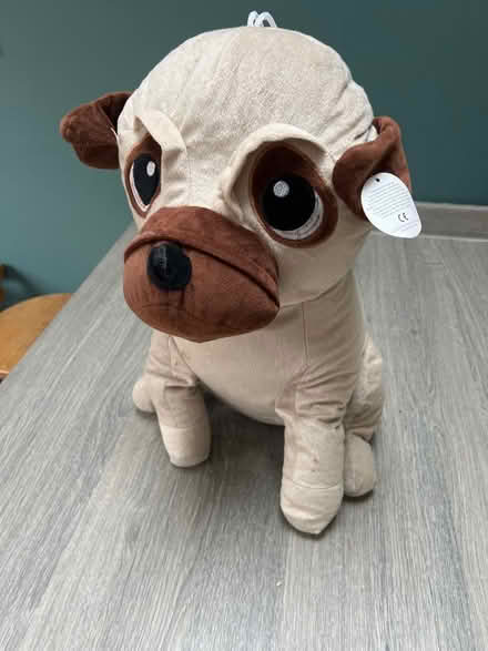 Photo of free King cuddly Large Pug plush. Good condition (Southsea PO4) #1