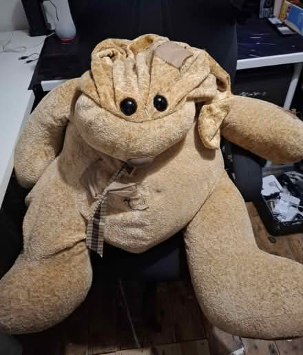 Photo of free Large Plush Teddy Bear (TN24) #1
