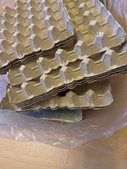 Photo of free Egg trays and boxes for papier mache (Bidston Hill CH43) #2