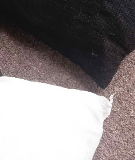 Photo of free 2 large cushions (Bexhill-on-Sea) #1