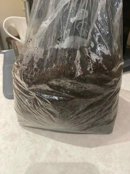 Photo of free Bag of coffee grinds (Colchester) #1