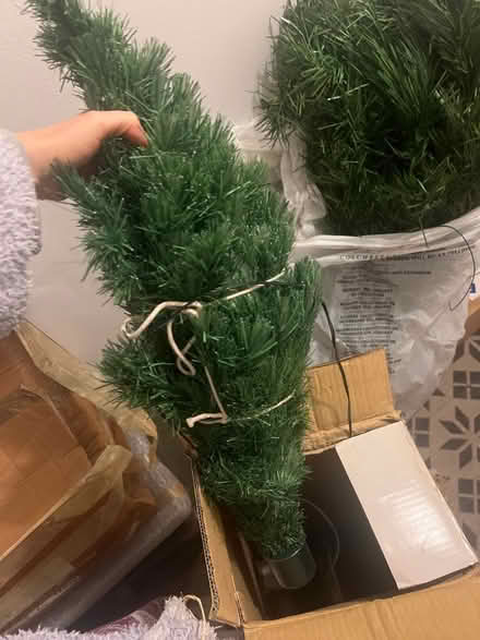 Photo of free Fibre optic Christmas tree (Stanway, CO3) #1