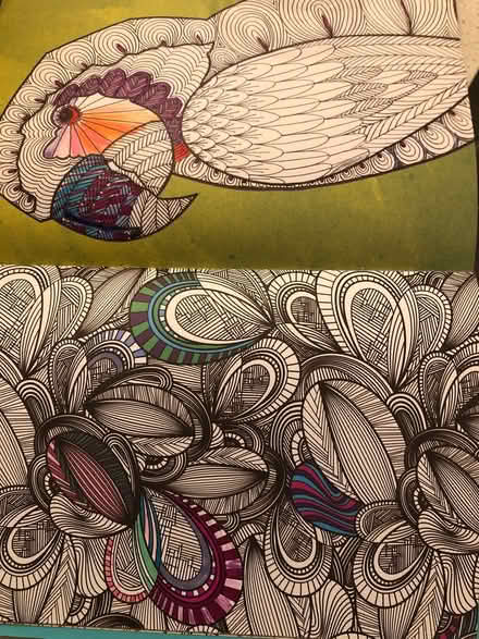 Photo of free Art therapy colouring book (Bromley BR1) #4