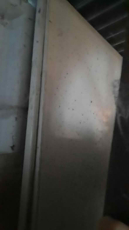 Photo of free chipboard/hardboard / wood offcuts (Close to Wrexham Centre) #1