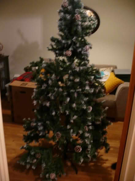 Photo of free 6ft Christmas tree (Birchanger CM23) #1
