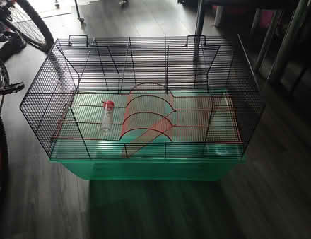 Photo of free Two xL hamster cages gerbil cage (Reading) #1