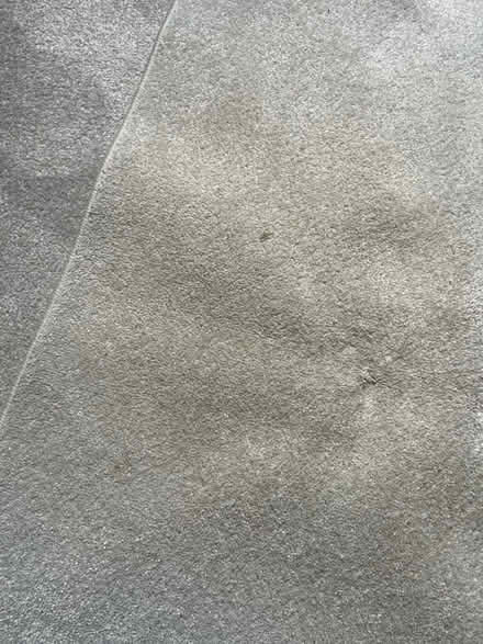 Photo of free Grey rug (Frome, Welshmill) #2