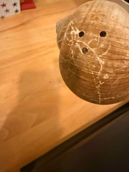 Photo of free Snail vase (Oxton, CH43) #1