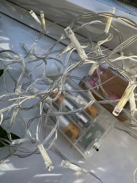 Photo of free Fairy lights (Galgate LA2 0) #1